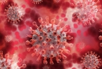 Britskou mutaci koronaviru potvrdili v šesti krajích