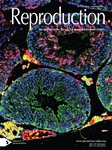 Reproduction