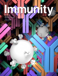 Cell - Immunity