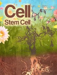 Cell - Stem Cell