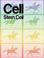 Cell - Stem Cell