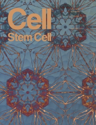 Cell - Stem Cell