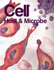 Cell - Host & Microbe
