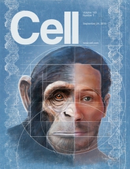 Cell