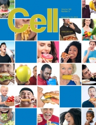Cell
