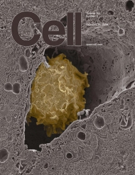 Cell