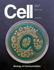 Cell