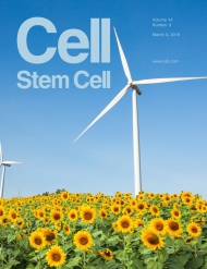 Cell - Stem Cell