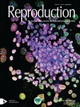Reproduction