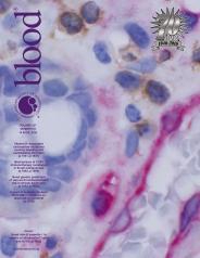 Blood