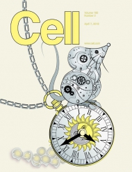 Cell