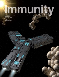 Cell - Immunity