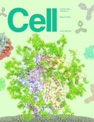 Cell