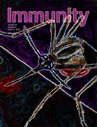Cell - Immunity