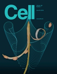Cell