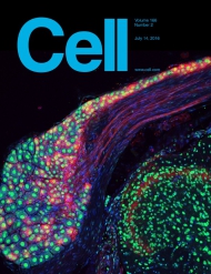 Cell
