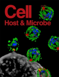 Cell - Host & Microbe