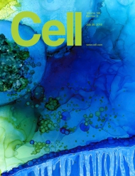 Cell