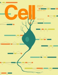 Cell