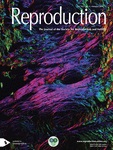 Reproduction