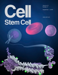 Cell - Stem Cell