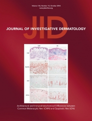 Journal of Investigative Dermatology