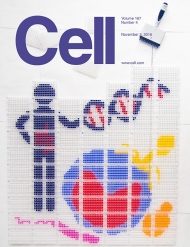 Cell