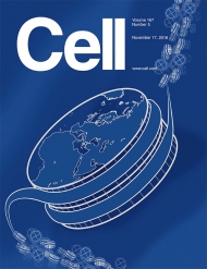 Cell