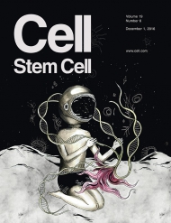 Cell - Stem Cell