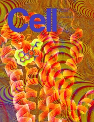 Cell