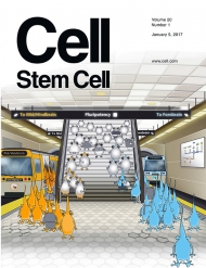 Cell - Stem Cell