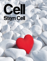 Cell - Stem Cell