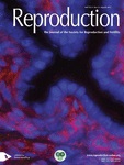 Reproduction