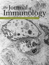 The Journal of Immunology