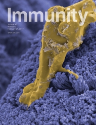 Cell - Immunity