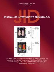 Journal of Investigative Dermatology