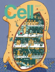 Cell