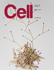 Cell