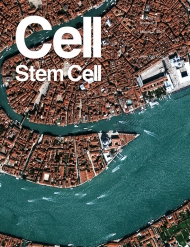 Cell - Stem Cell