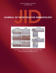 Journal of Investigative Dermatology