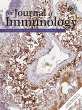 The Journal of Immunology