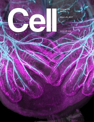 Cell