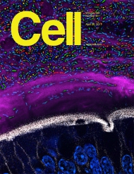 Cell