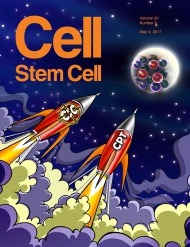Cell - Stem Cell