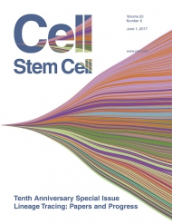 Cell - Stem Cell