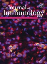 The Journal of Immunology