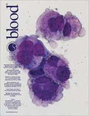 Blood