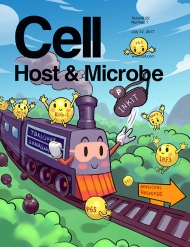 Cell - Host & Microbe