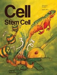Cell - Stem Cell