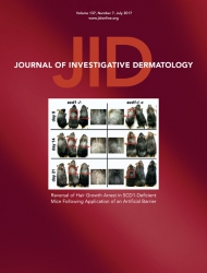 Journal of Investigative Dermatology